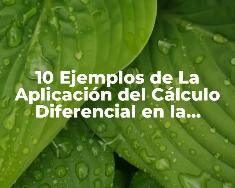 10 Ejemplos de La Aplicación del Cálculo Diferencial en la Química