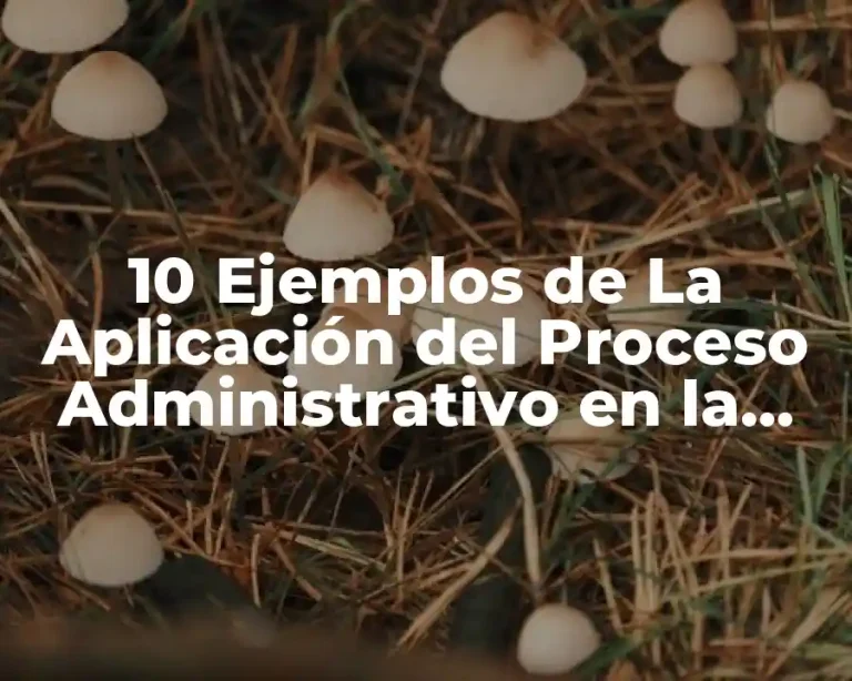 10 Ejemplos de La Aplicación del Proceso Administrativo en la Vida