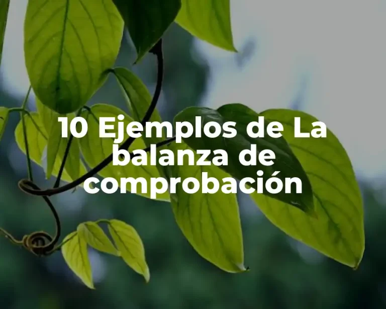 10 Ejemplos de La balanza de comprobación