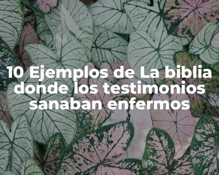 10 Ejemplos de La biblia donde los testimonios sanaban enfermos