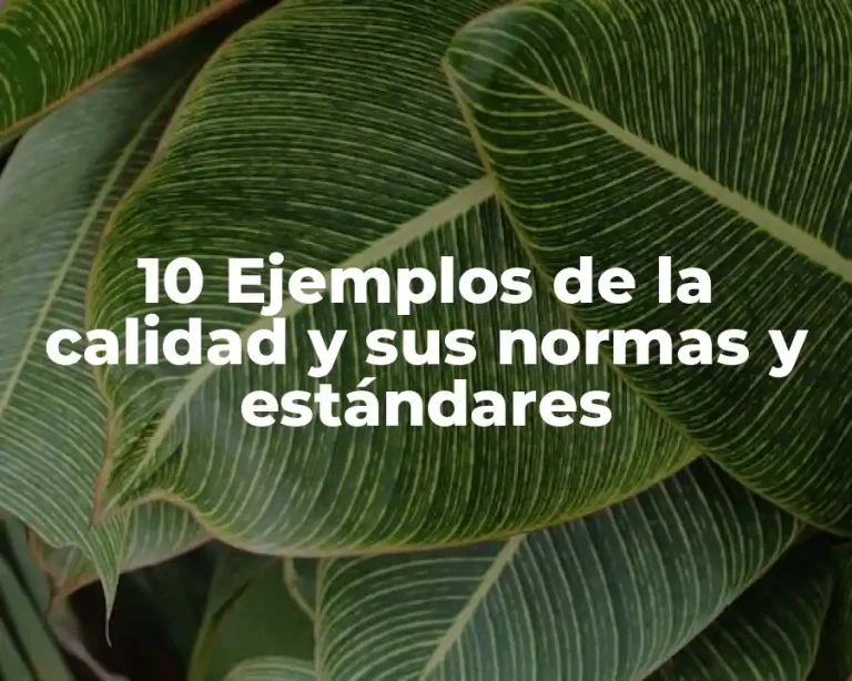 10 Ejemplos de la calidad y sus normas y estándares