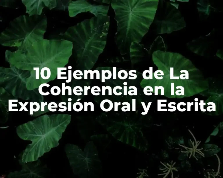 10 Ejemplos de La Coherencia en la Expresión Oral y Escrita