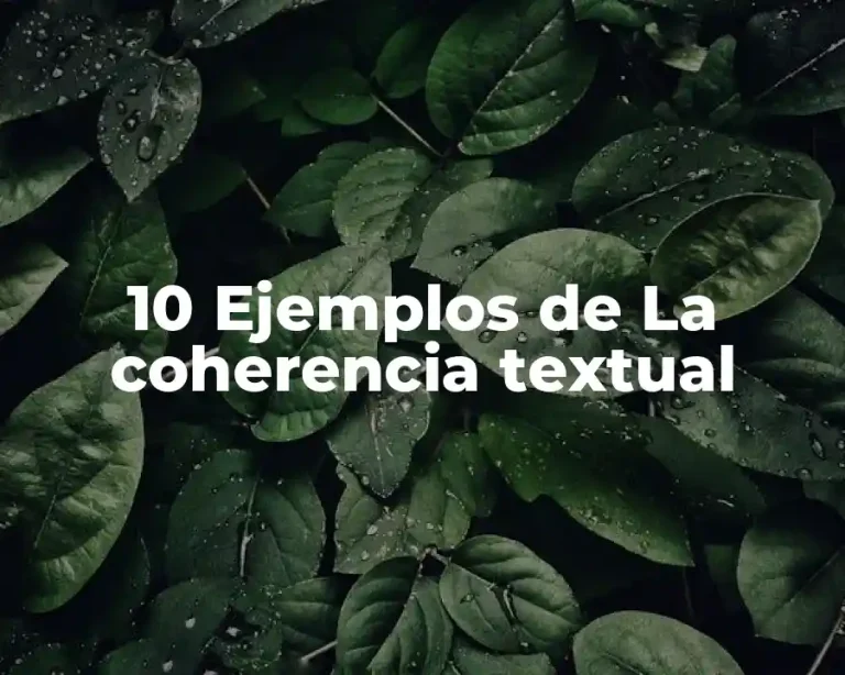 10 Ejemplos de La coherencia textual
