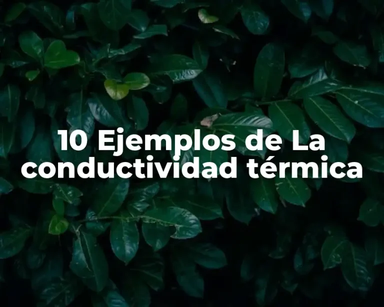 10 Ejemplos de La conductividad térmica