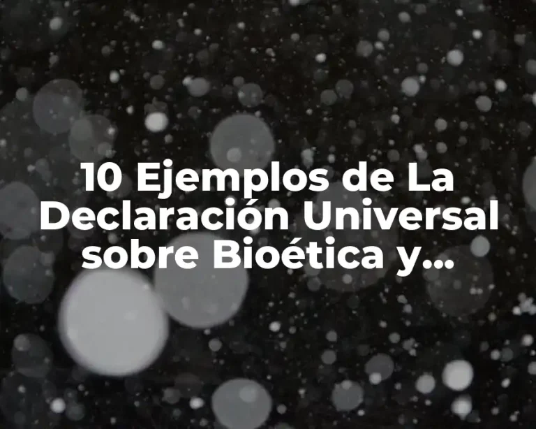 10 Ejemplos de La Declaración Universal sobre Bioética y Derechos Humanos