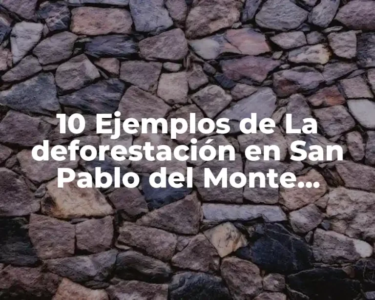 10 Ejemplos de La deforestación en San Pablo del Monte Tlaxcalancing