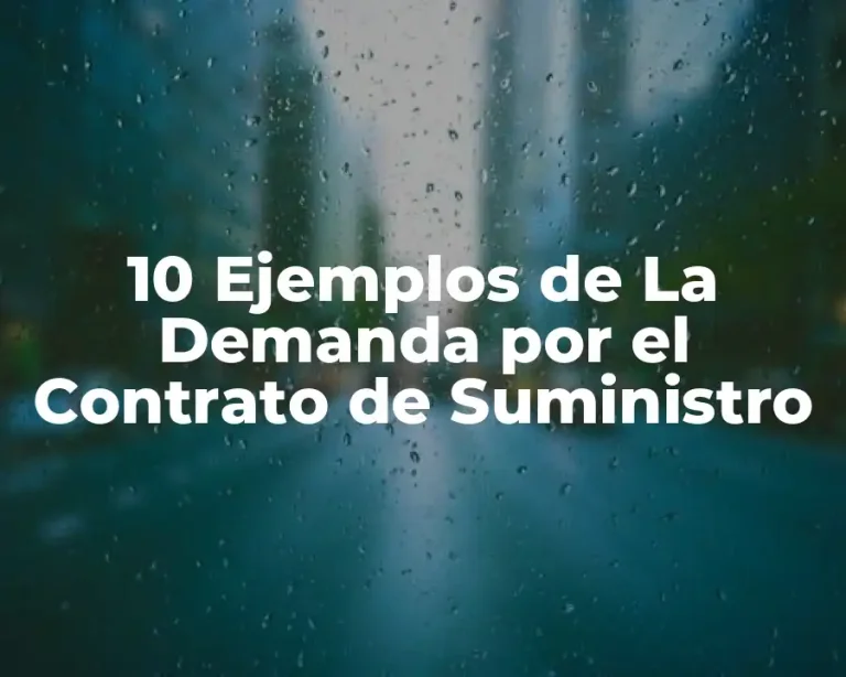10 Ejemplos de La Demanda por el Contrato de Suministro
