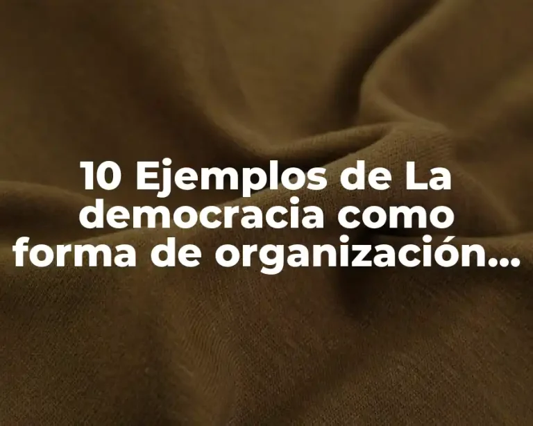 10 Ejemplos de La democracia como forma de organización social