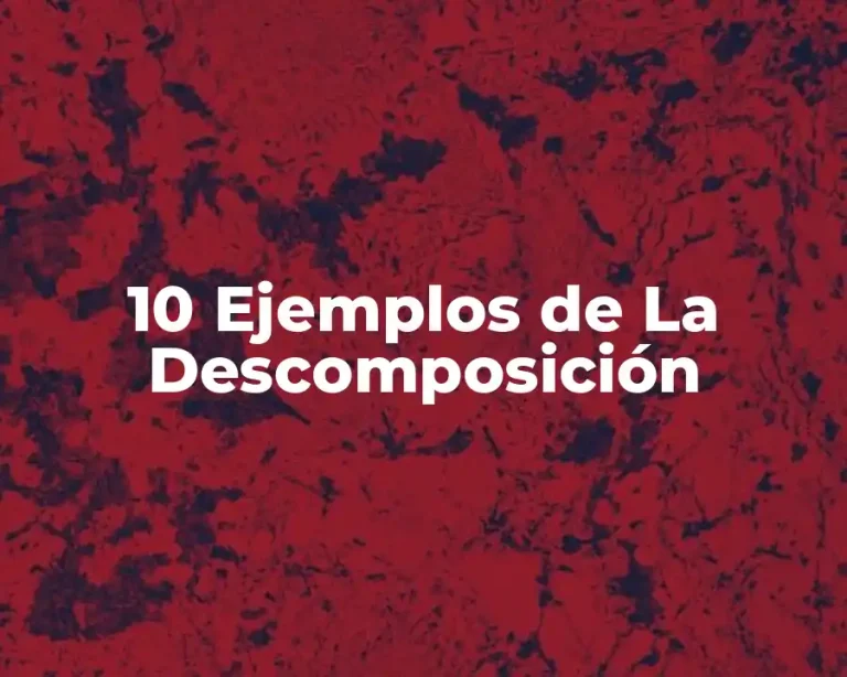 10 Ejemplos de La Descomposición