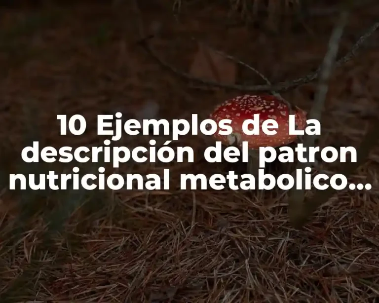 10 Ejemplos de La descripción del patron nutricional metabolico en pediatria