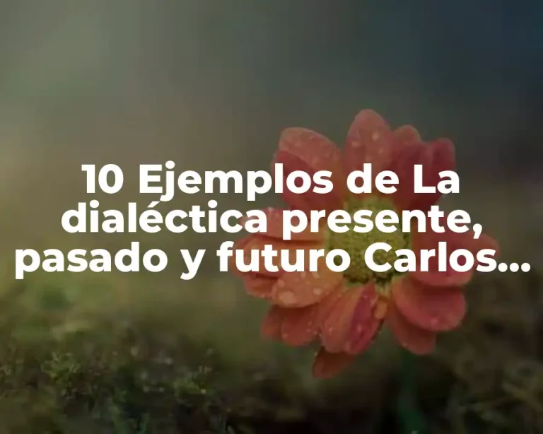10 Ejemplos de La dialéctica presente, pasado y futuro Carlos Marx