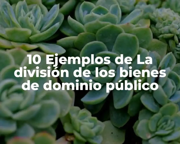 10 Ejemplos de La división de los bienes de dominio público