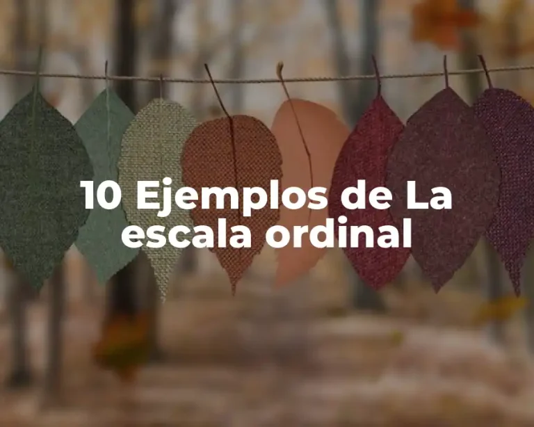 10 Ejemplos de La escala ordinal