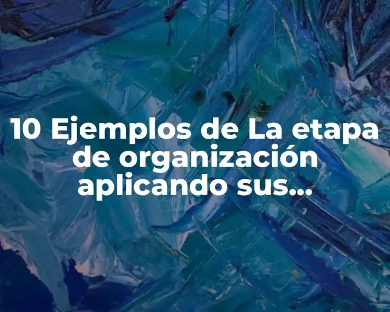 10 Ejemplos de La etapa de organización aplicando sus beneficios