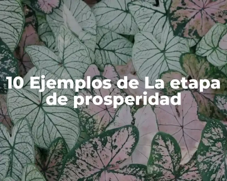 10 Ejemplos de La etapa de prosperidad