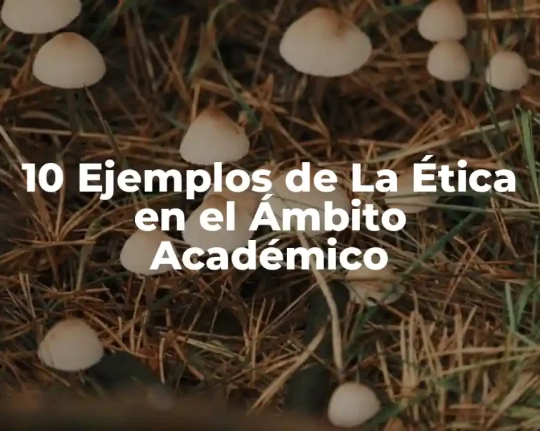 10 Ejemplos de La Ética en el Ámbito Académico