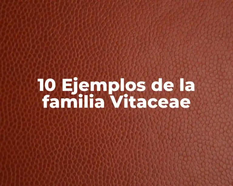 10 Ejemplos de la familia Vitaceae