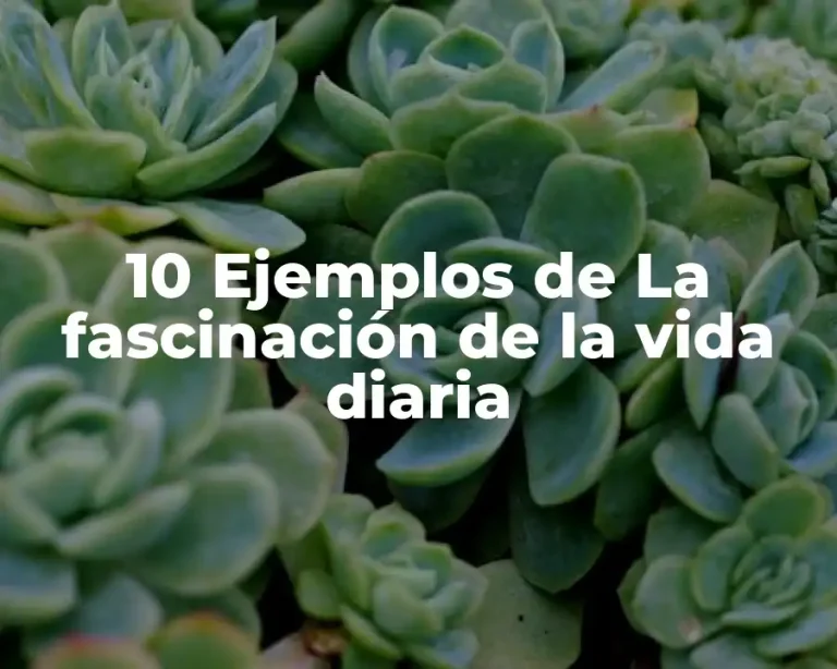 10 Ejemplos de La fascinación de la vida diaria