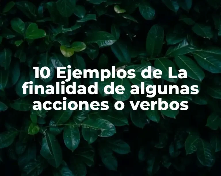 10 Ejemplos de La finalidad de algunas acciones o verbos