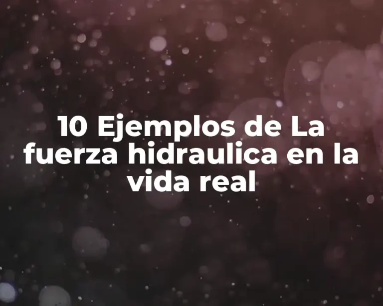 10 Ejemplos de La fuerza hidraulica en la vida real