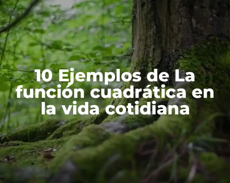 10 Ejemplos de La función cuadrática en la vida cotidiana