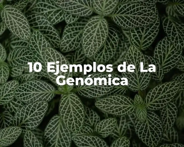 10 Ejemplos de La Genómica