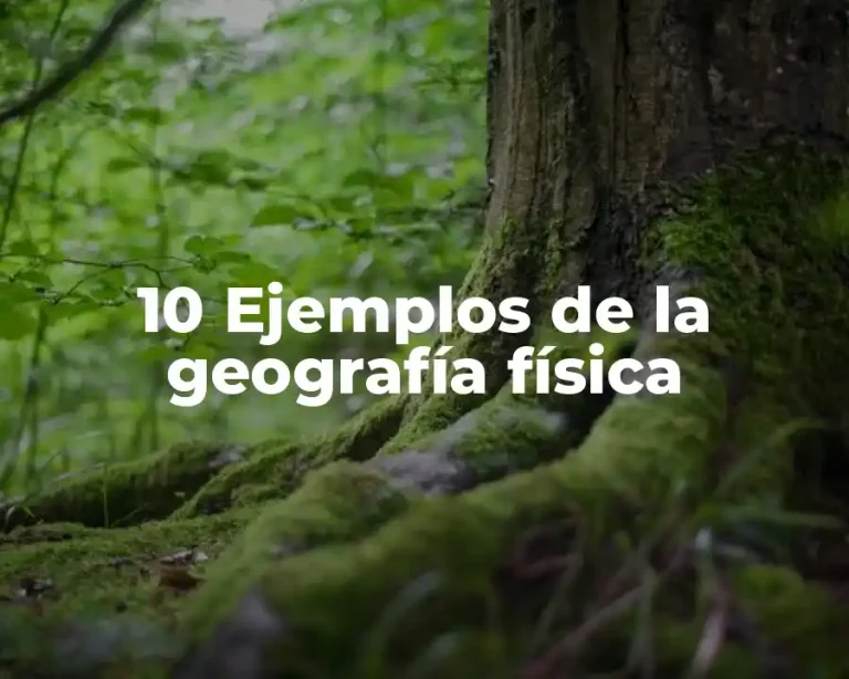 10 Ejemplos de la geografía física