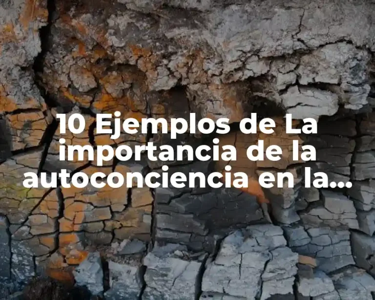 10 Ejemplos de La importancia de la autoconciencia en la vida diaria