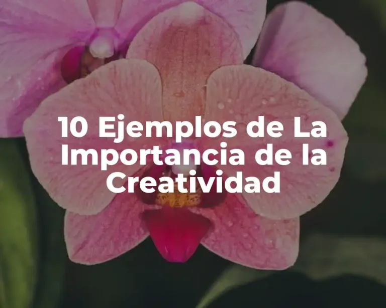 10 Ejemplos de La Importancia de la Creatividad
