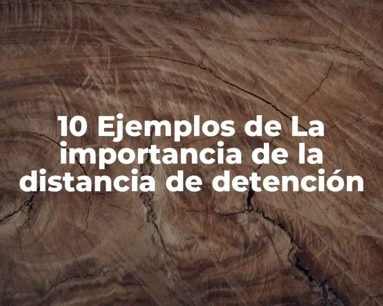 10 Ejemplos de La importancia de la distancia de detención