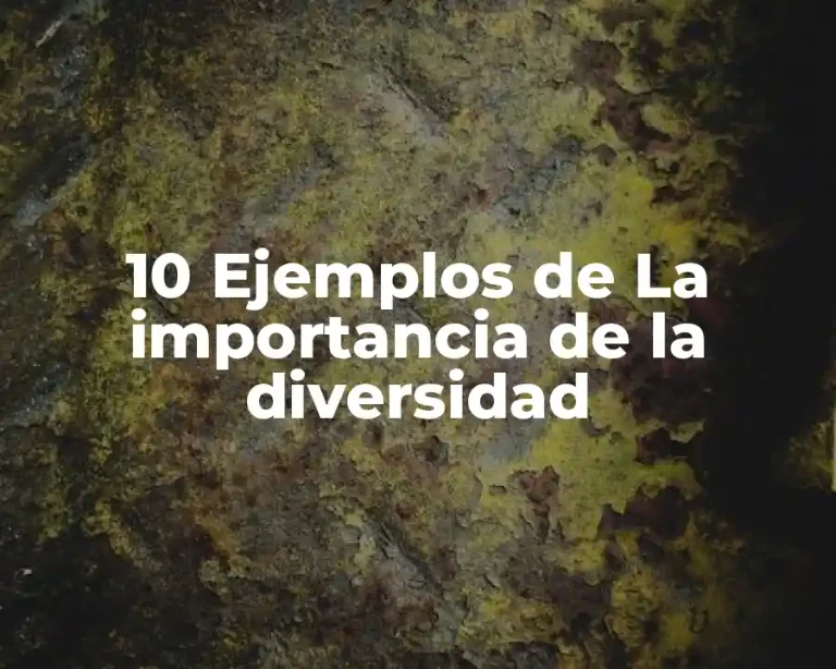 10 Ejemplos de La importancia de la diversidad