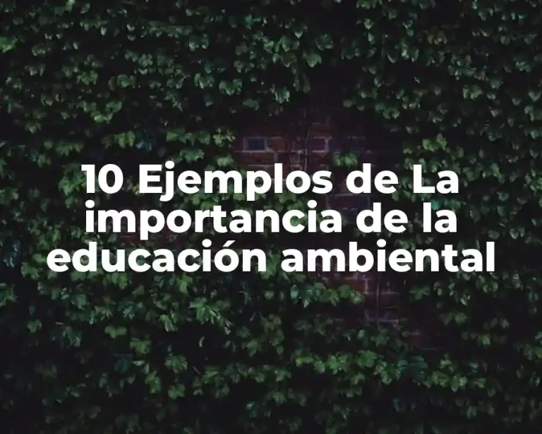 10 Ejemplos de La importancia de la educación ambiental