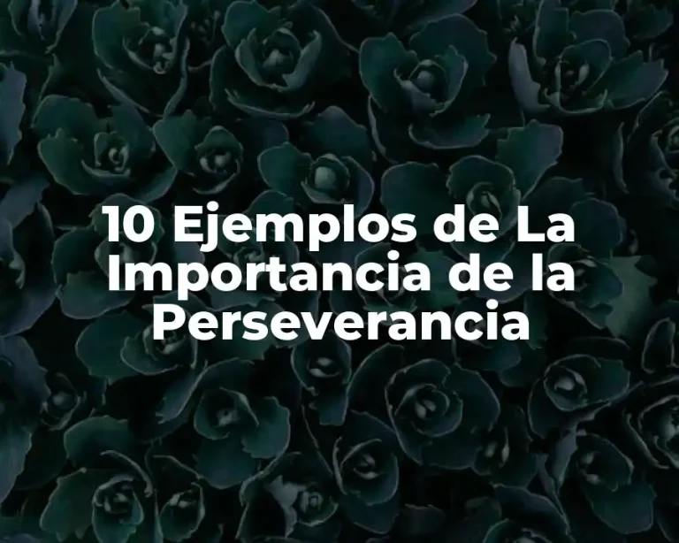 10 Ejemplos de La Importancia de la Perseverancia