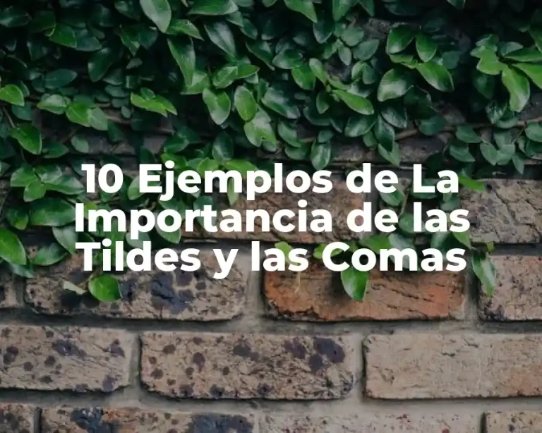 10 Ejemplos de La Importancia de las Tildes y las Comas