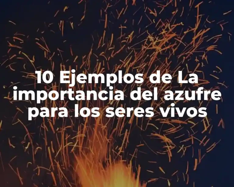 10 Ejemplos de La importancia del azufre para los seres vivos