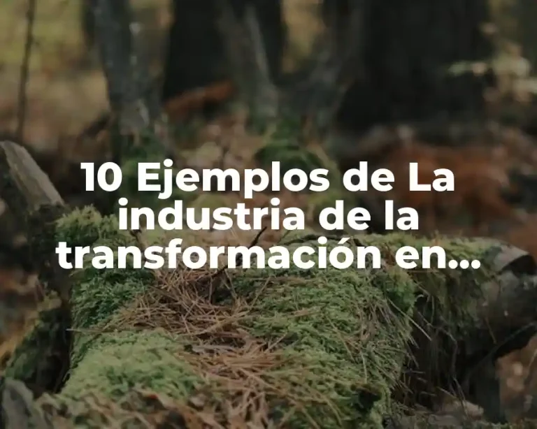 10 Ejemplos de La industria de la transformación en Chiapas