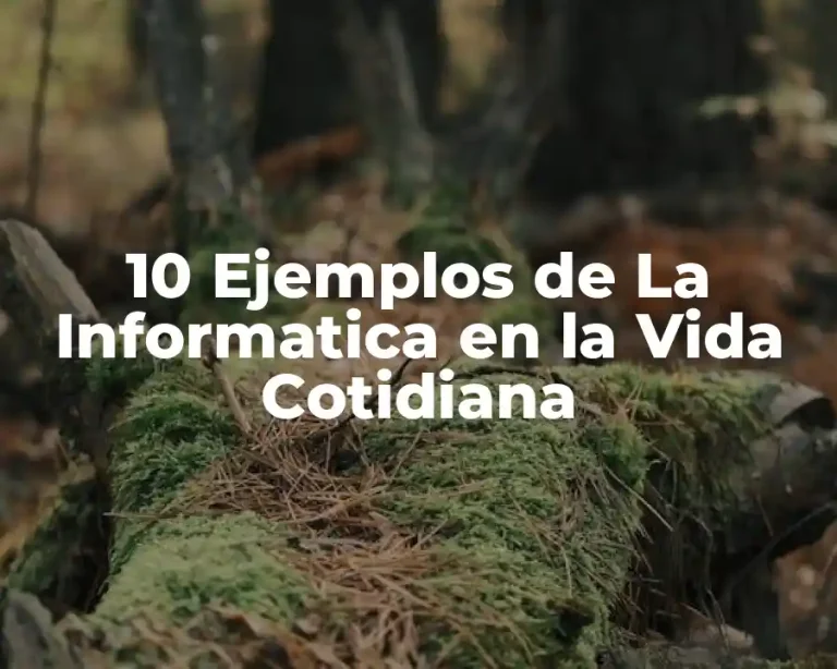 10 Ejemplos de La Informatica en la Vida Cotidiana