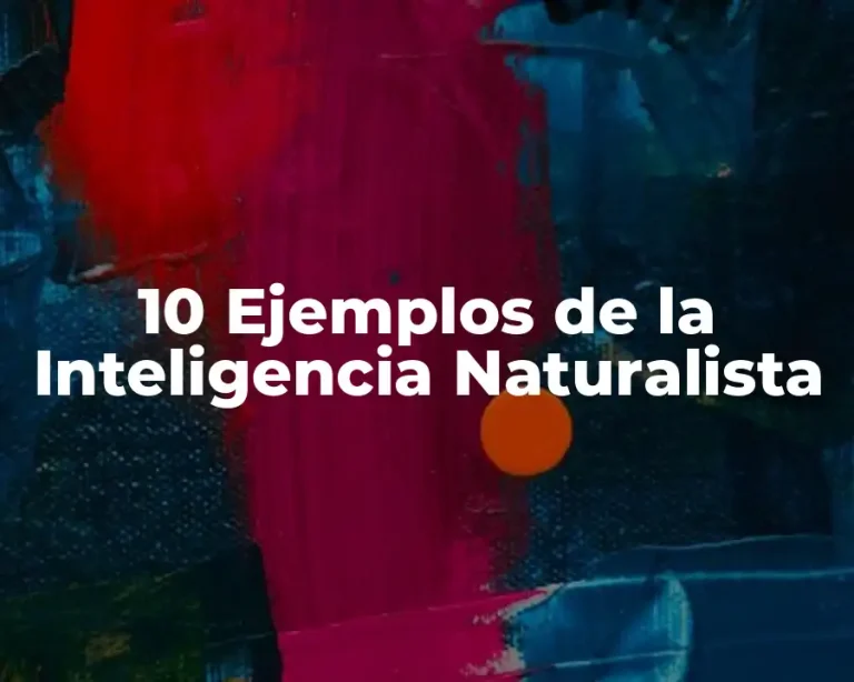 10 Ejemplos de la Inteligencia Naturalista