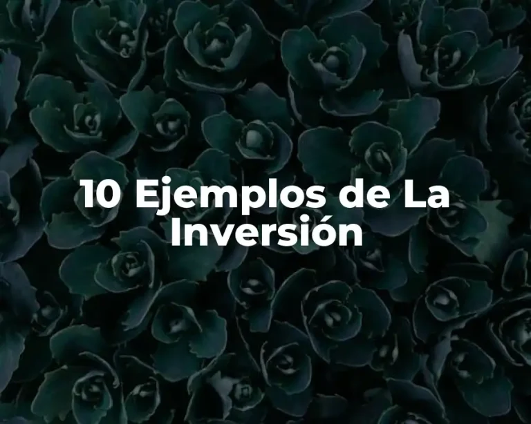 10 Ejemplos de La Inversión