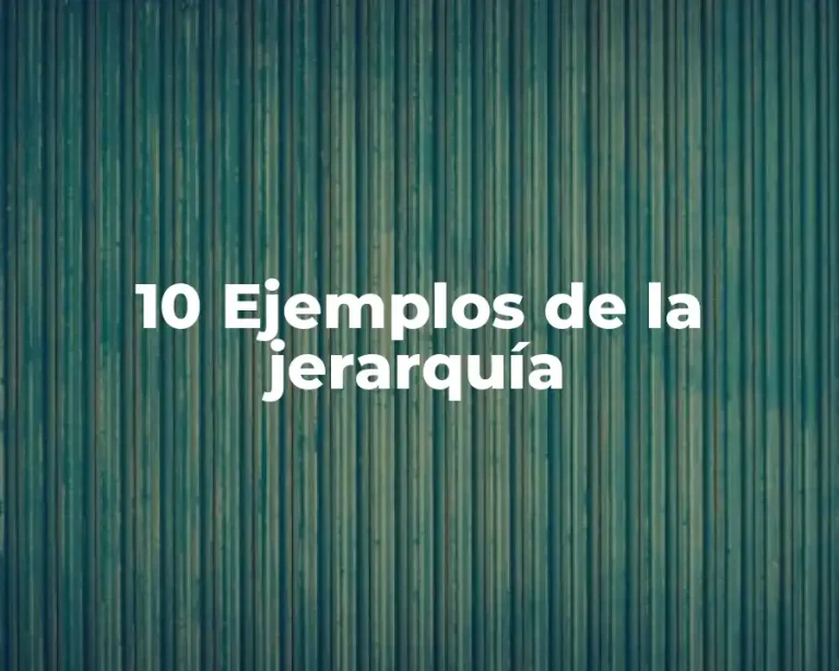 10 Ejemplos de la jerarquía