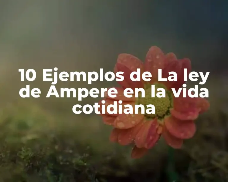 10 Ejemplos de La ley de Ampere en la vida cotidiana
