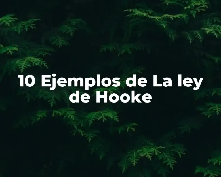10 Ejemplos de La ley de Hooke