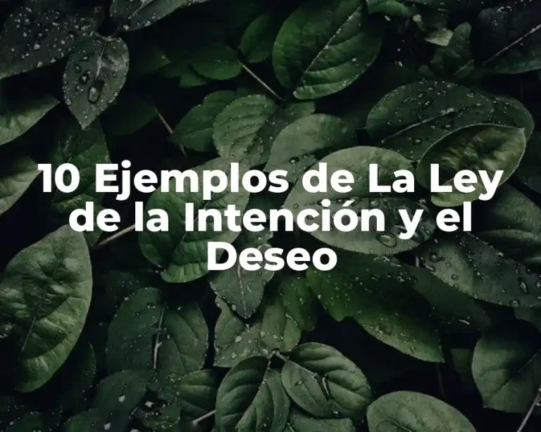 10 Ejemplos de La Ley de la Intención y el Deseo