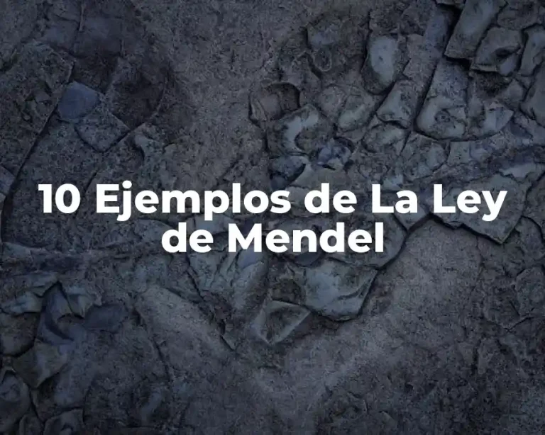 10 Ejemplos de La Ley de Mendel