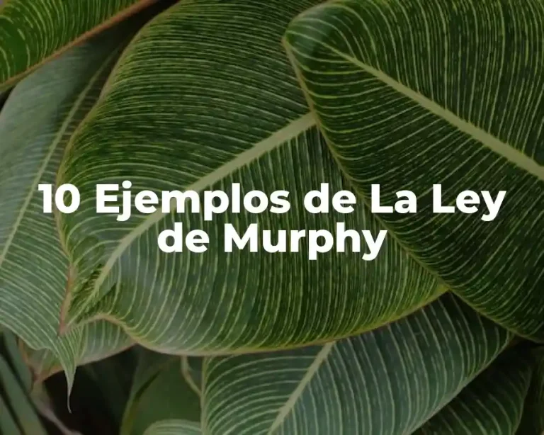 10 Ejemplos de La Ley de Murphy
