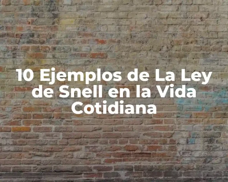 10 Ejemplos de La Ley de Snell en la Vida Cotidiana