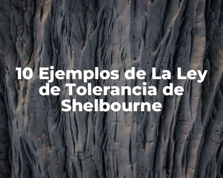 10 Ejemplos de La Ley de Tolerancia de Shelbourne