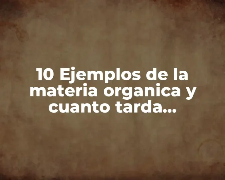 10 Ejemplos de la materia organica y cuanto tarda descomponerse