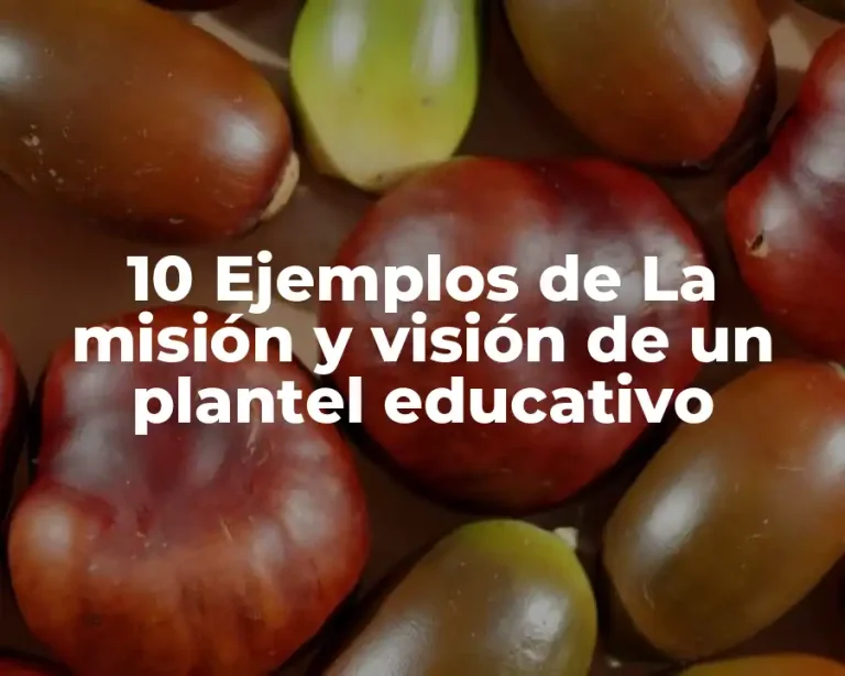 10 Ejemplos de La misión y visión de un plantel educativo