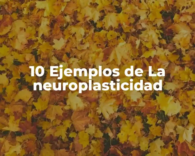 10 Ejemplos de La neuroplasticidad